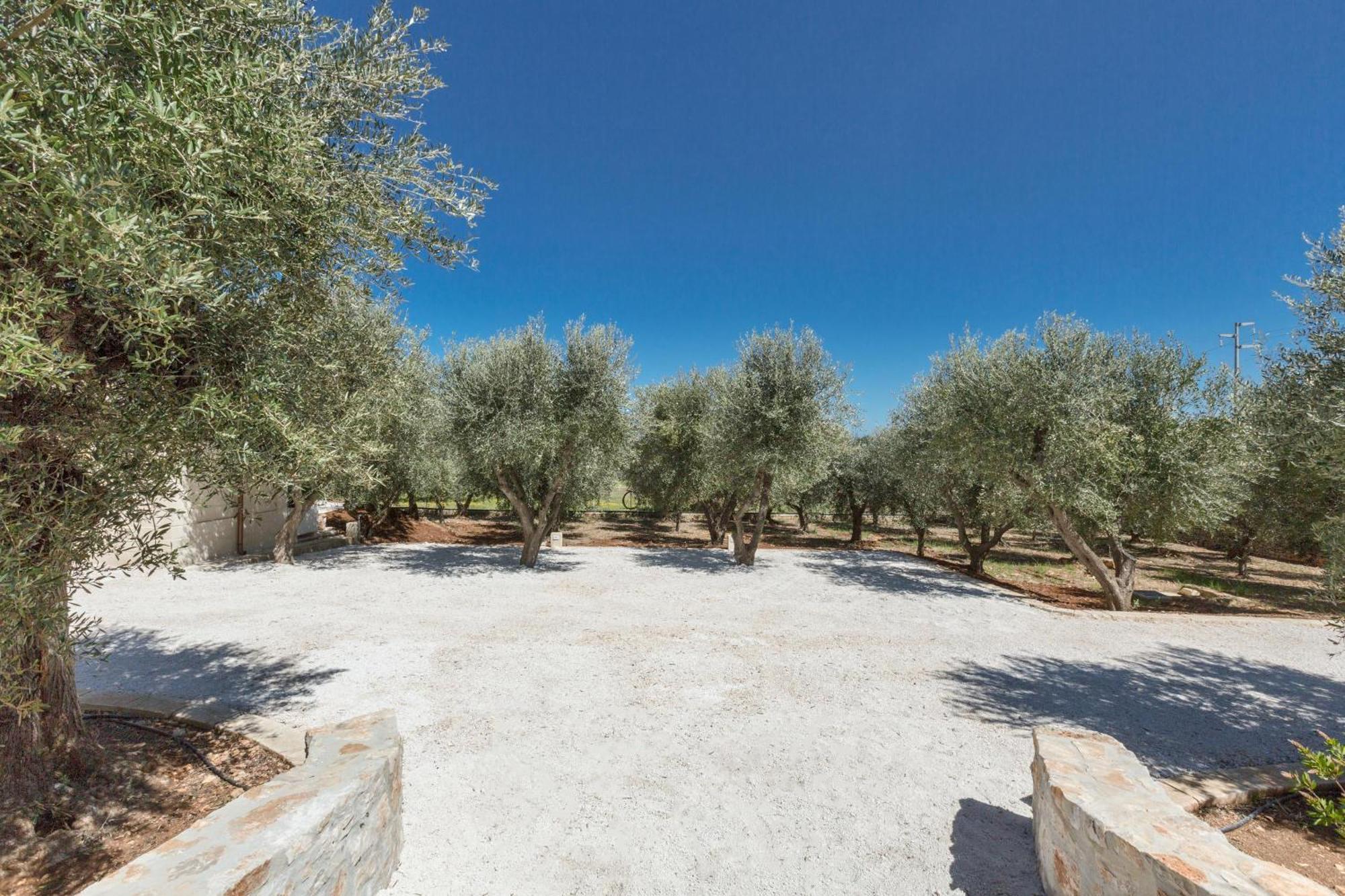 Trulli Ulivo Di Puglia By Barbarhouse Villa Селва ди Фасано Екстериор снимка